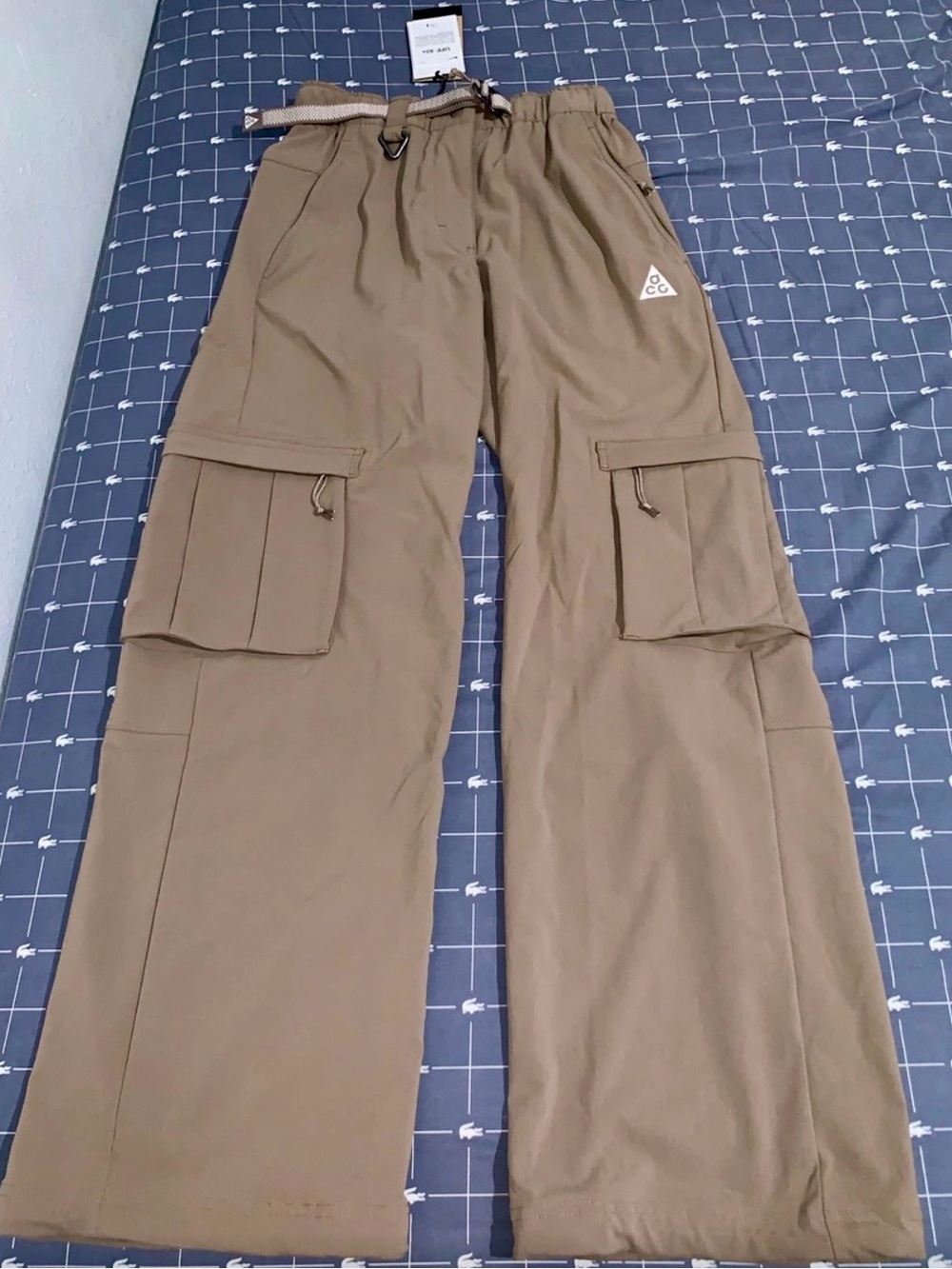 RARE Nike ACG Smith Summit Cargo Pants - Mink Brown 🤎